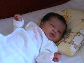 EVELINA
